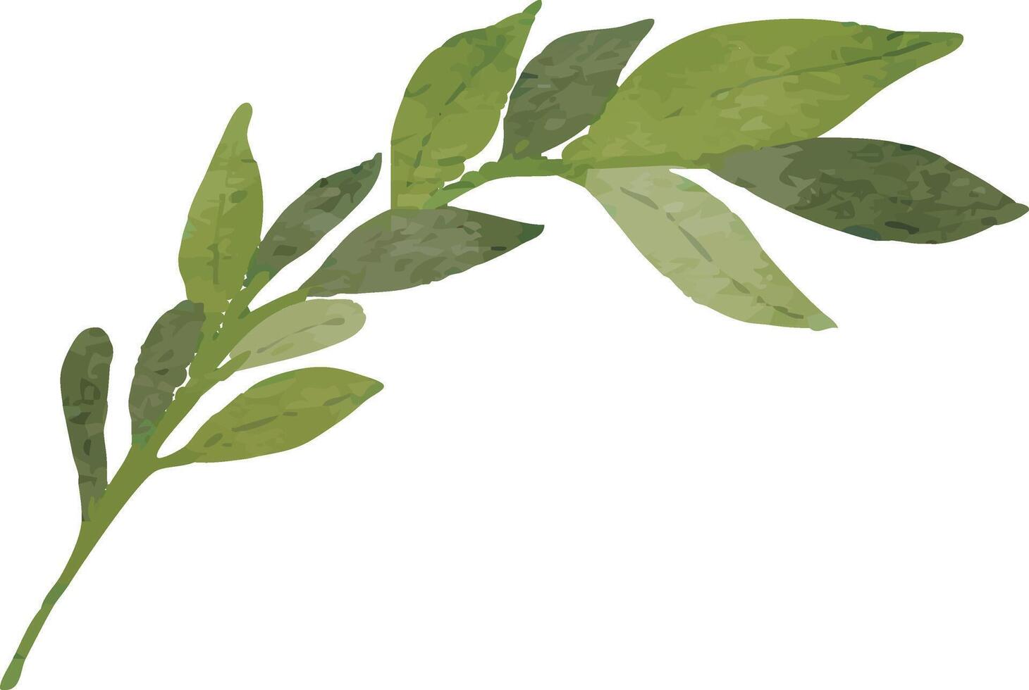 Sage Green Leaf Element vector