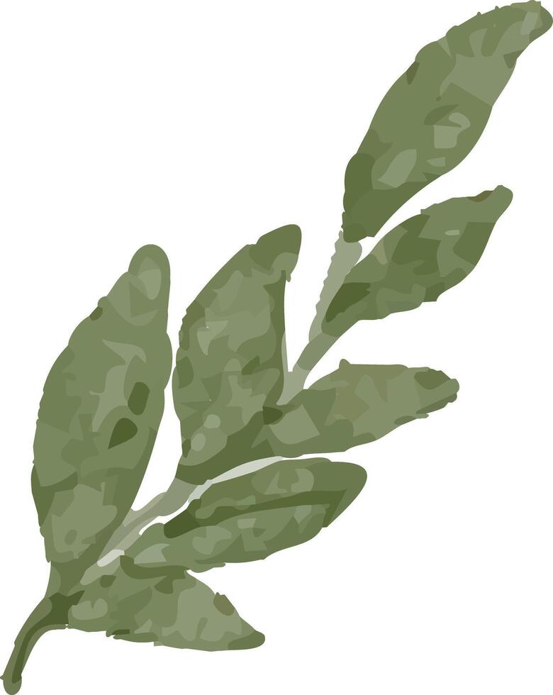 Green Vine Illustration Element vector