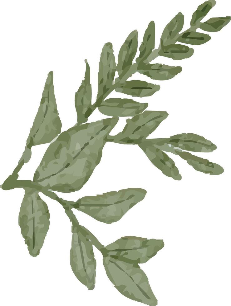 Lush Green Botanical Clipart vector