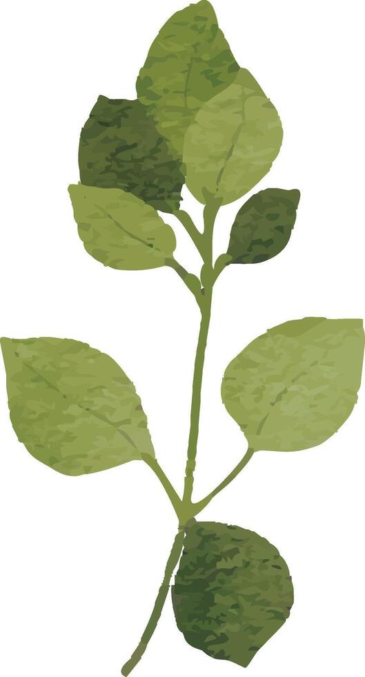 Clean Green Branch Clipart vector