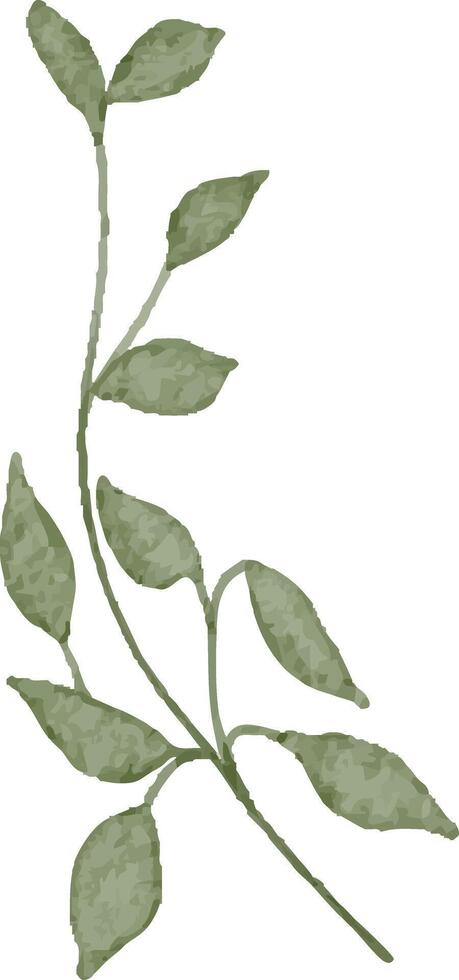 Elegant Green Twig Illustration vector