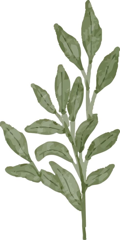 Delicate Nature Leaf Sketch vector