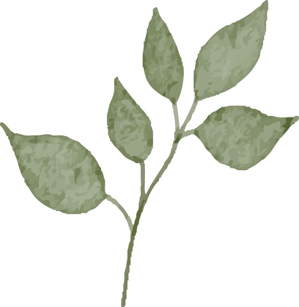 Botanical Branch with Leaves vector