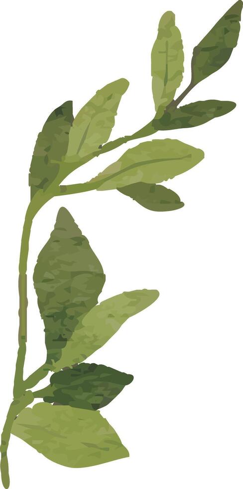 Boho Style Leaf Clipart vector