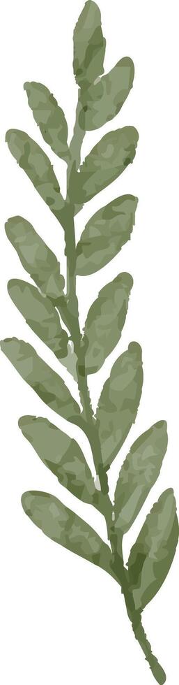 Wild Meadow Leaf Drawing vector