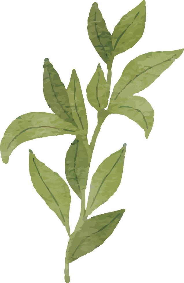 Minimalist Greenery Illustration vector