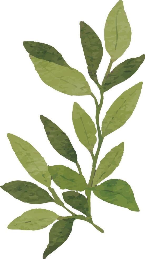 Rustic Greenery Clipart vector