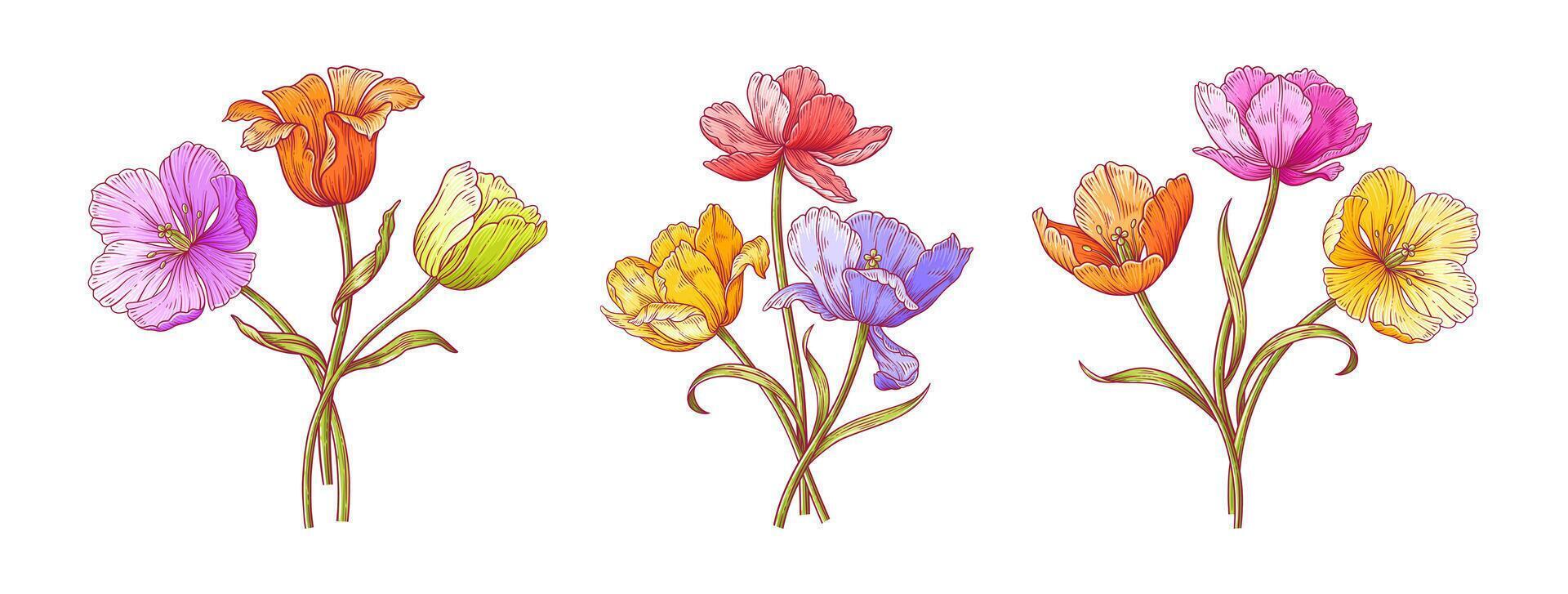 Tulips bouquet set, bright colorful dutch graceful flowers, elements vector