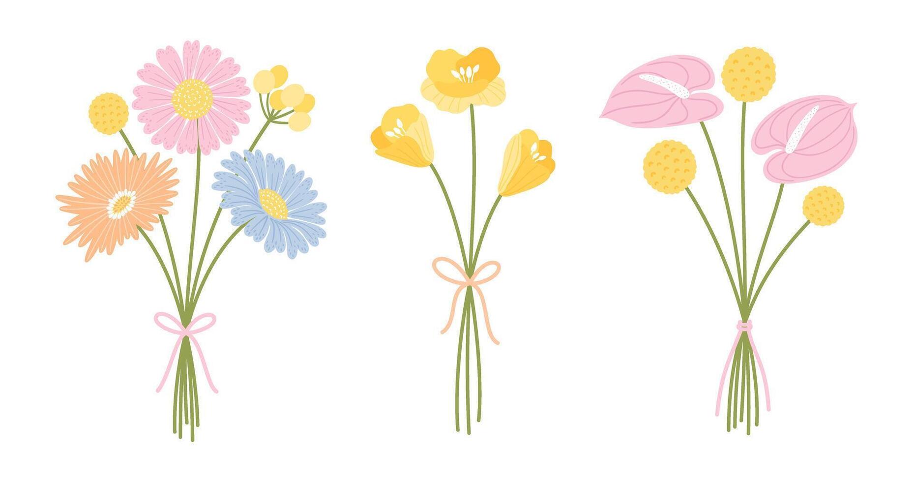 Set of three bouquet wildflowers. Floral bunch. Flowers tied with ribbon, illustration. Meadow herbs, and wild plants for design projects vector