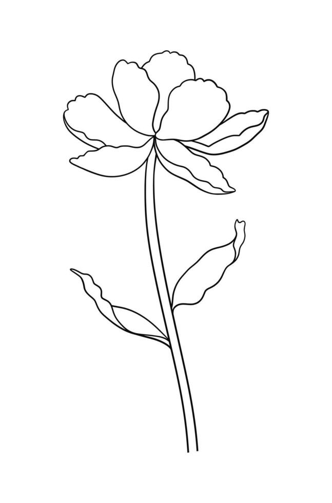 Tulip flower with leaves, graceful thin line in black color. Beautiful spring decor, minimal style. Drawing element for Easter, Mother Day, Canadian Tulip Festival, illustration vector