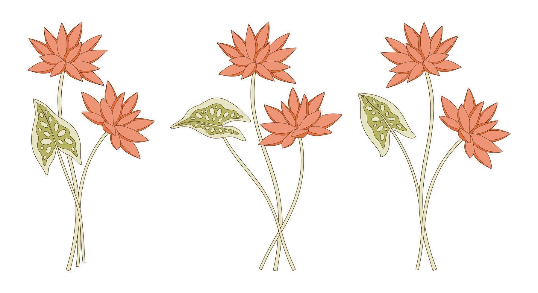 Bright set of nymphaea bouquets, perennial wild plants, illustration vector