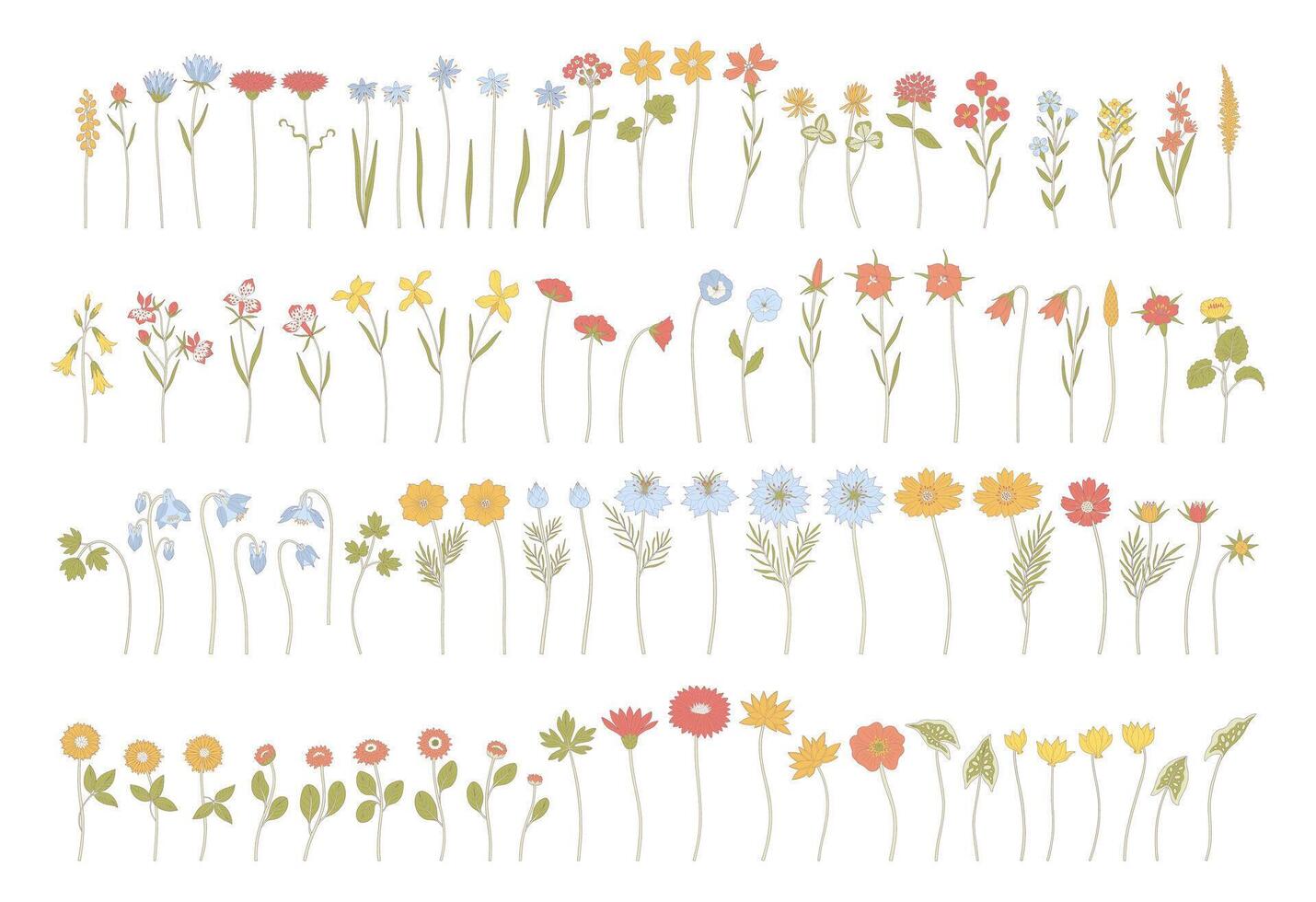 Set of colorful wildflowers with contour, illustration vector