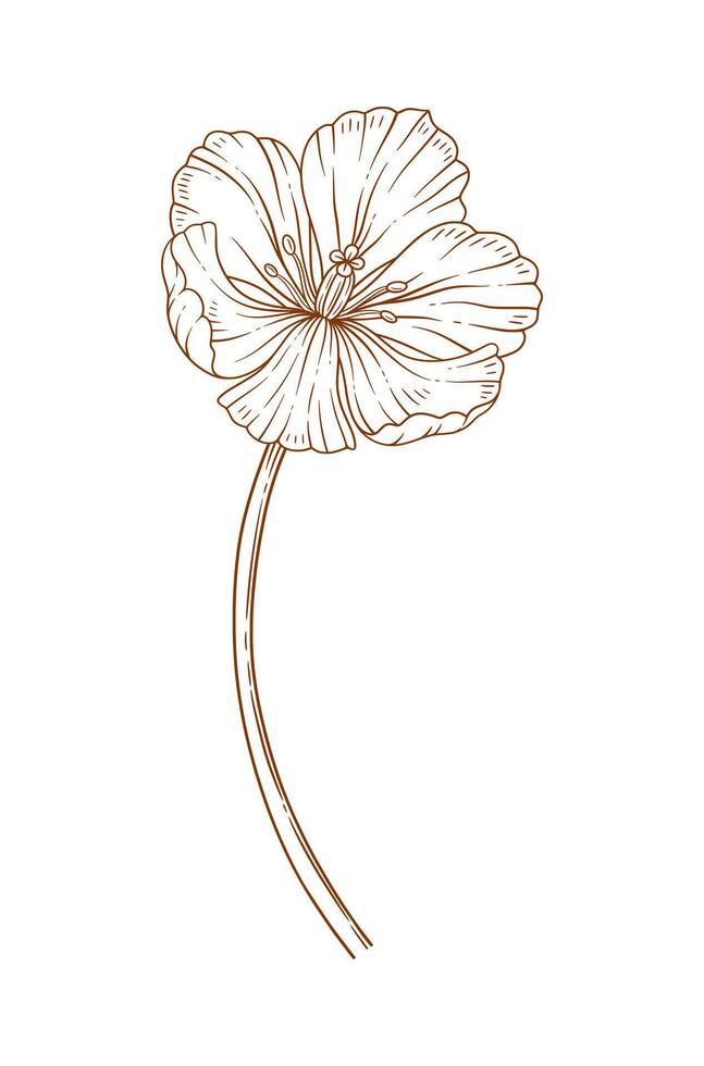 Tulip flower, contour. Beautiful spring decor, sketched element for design vector