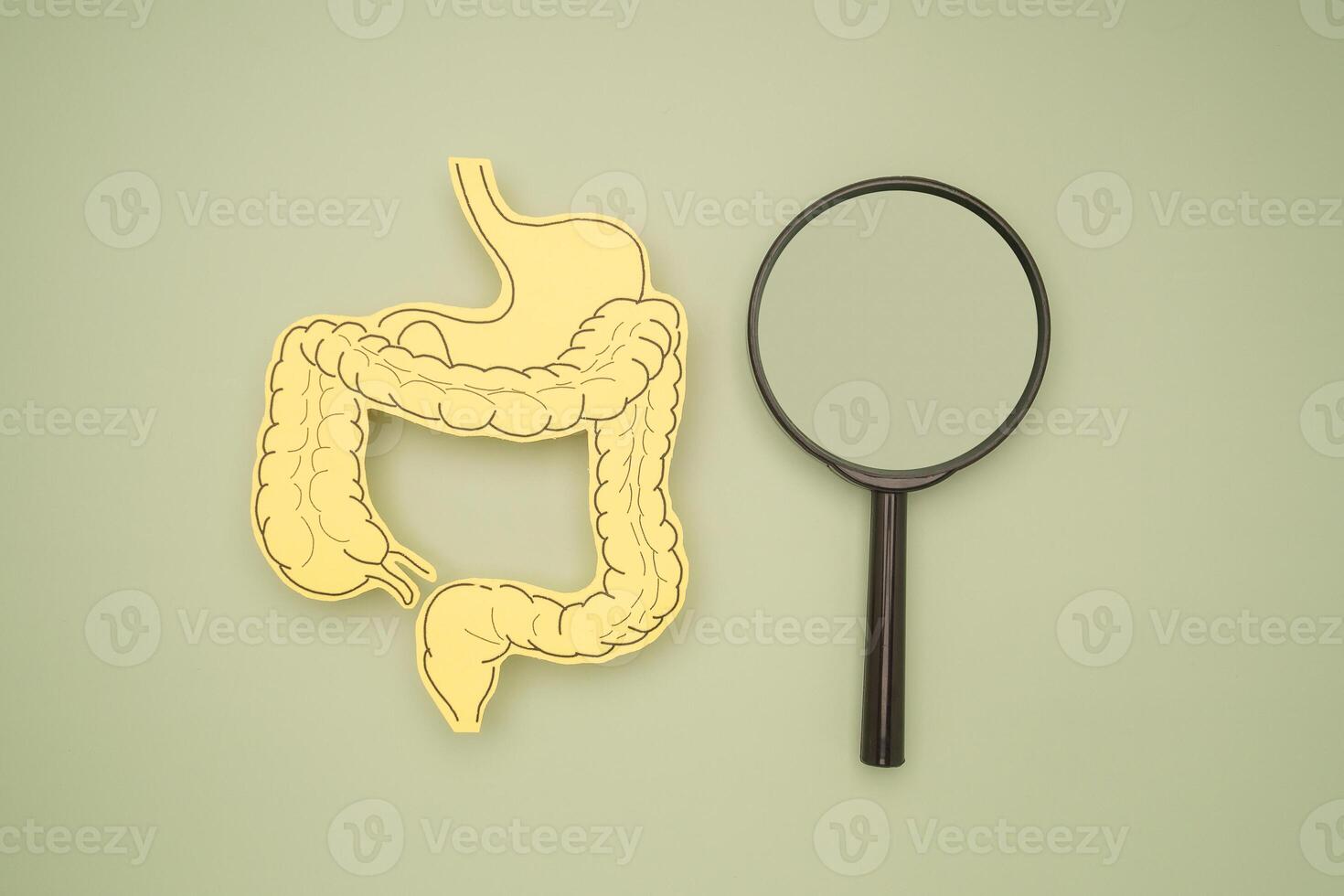 Top view of an intestine symbol made from yellow paper and a magnifier on a green background photo
