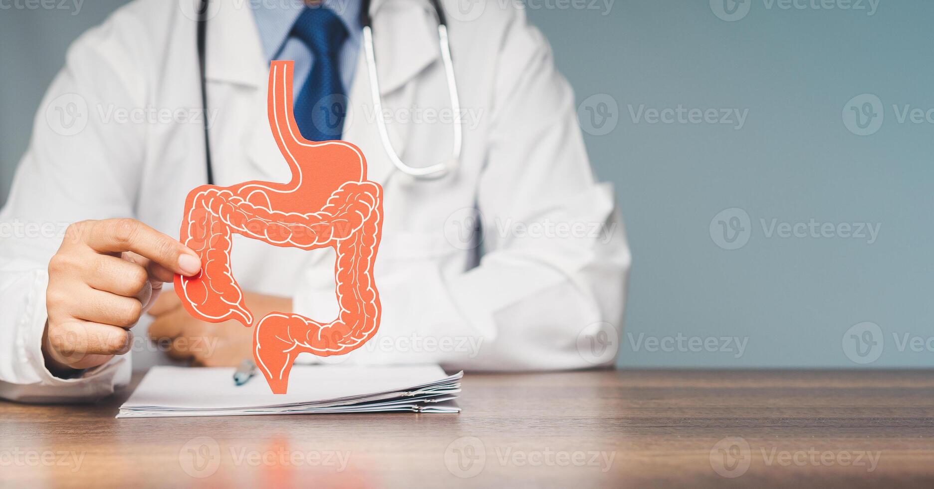 Doctor holding a intestine symbol made from red paper while sitting in the hospital photo