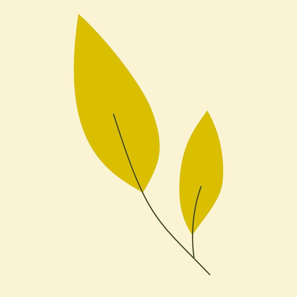 Leaves autumn design template vector