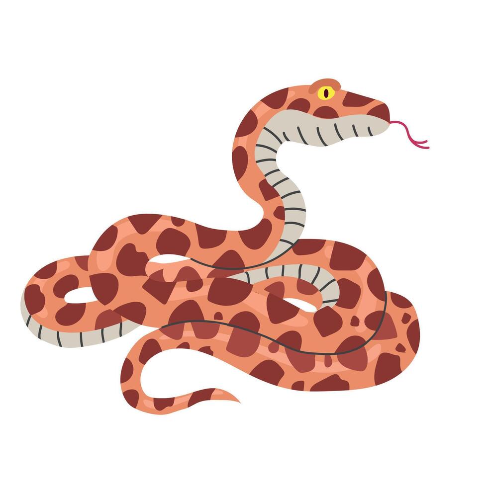 Boa constrictor icon clipart avatar logotype isolated illustration vector