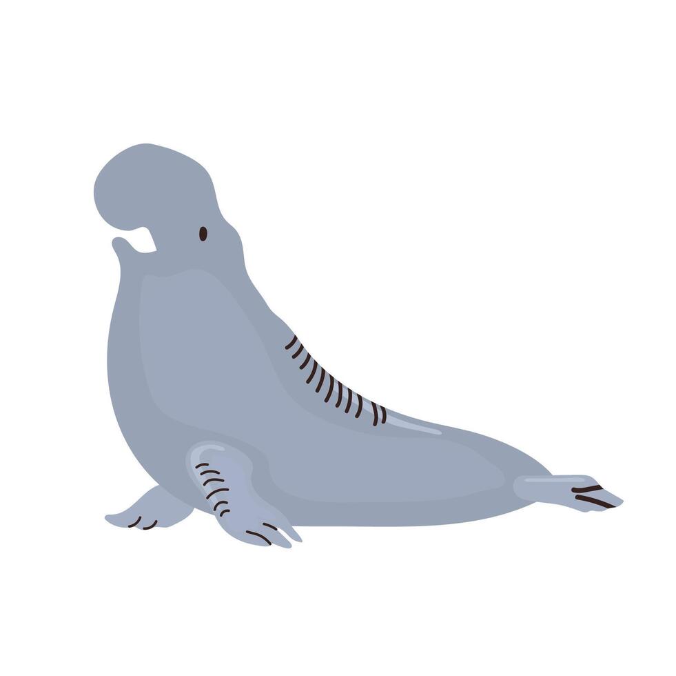 Elephant seal icon clipart avatar logotype isolated illustration vector