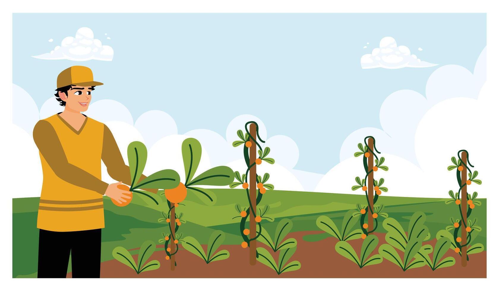 Farmers harvest vegetables in green fields during the day. vector