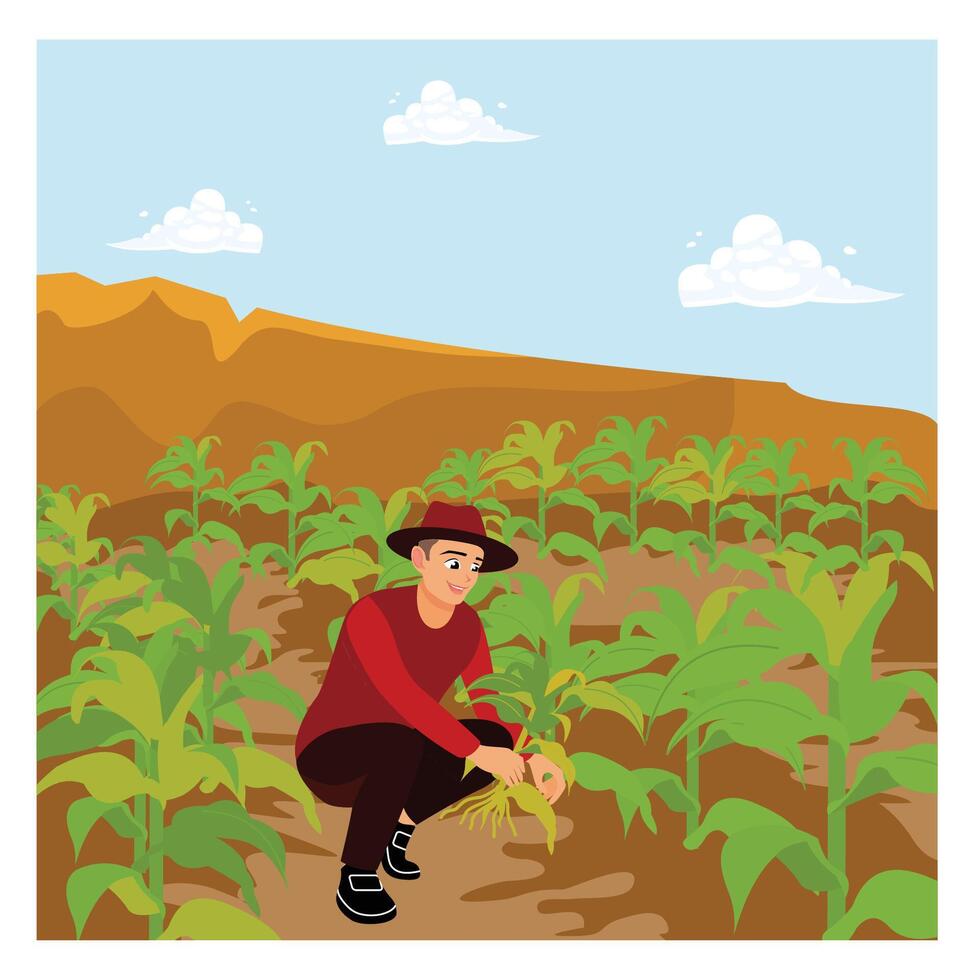 A farmer inspects crops in the field. vector