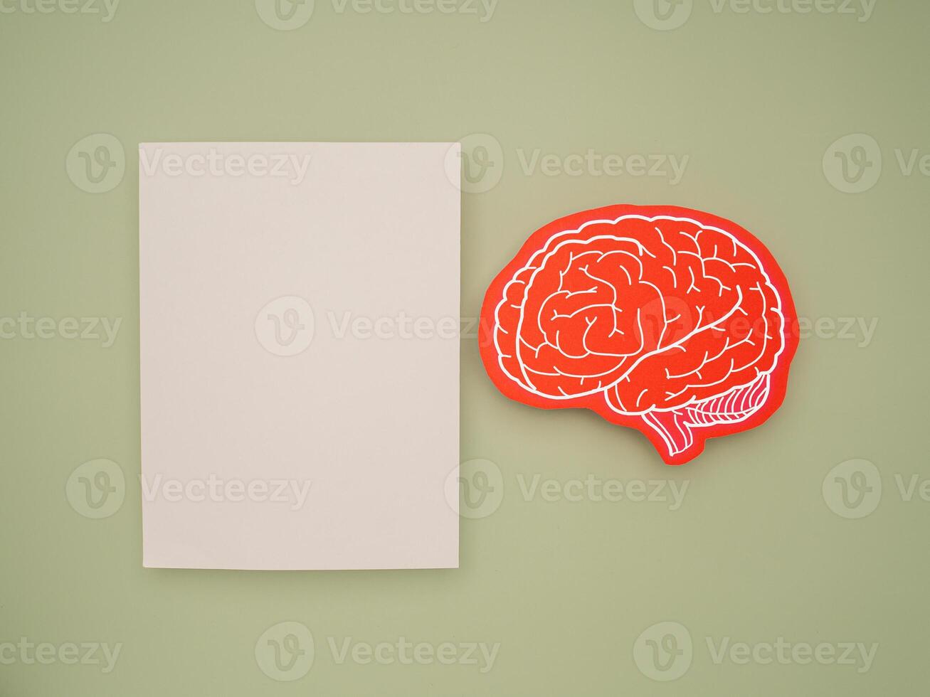 A blank white paper and a red brain shape symbol on a green background photo