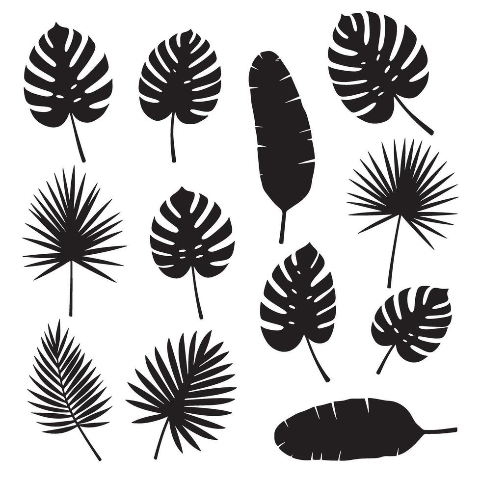 Monstera leaf silhouette bundle with tropical plant elements, botanical nature design, and jungle foliage set vector