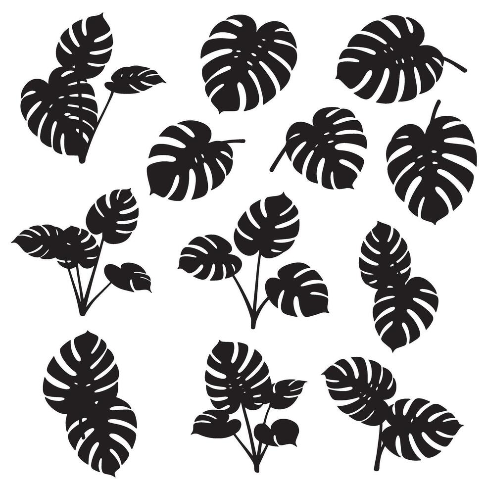 Monstera leaf silhouette bundle featuring elegant plant outlines, minimalist tropical decor, and foliage art set vector
