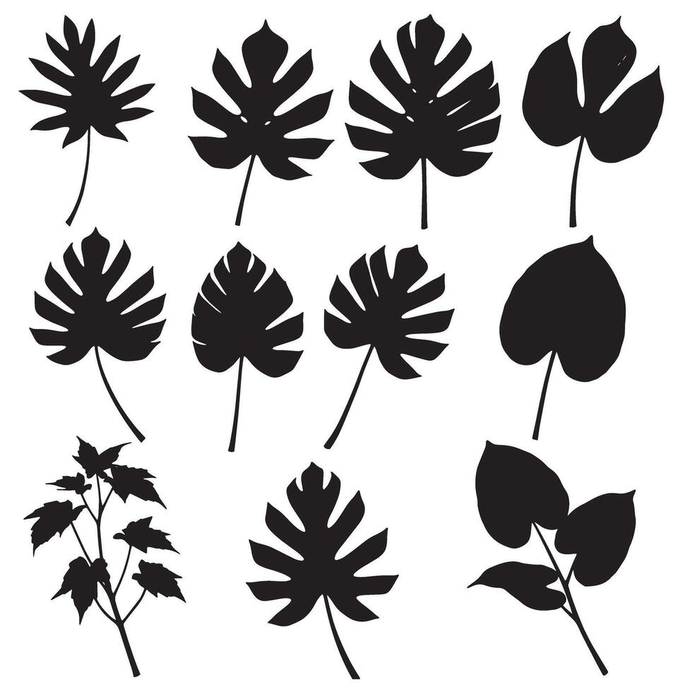 Monstera leaf silhouette bundle with natural jungle themes, hand-drawn leaf illustrations, and vintage tropical style vector