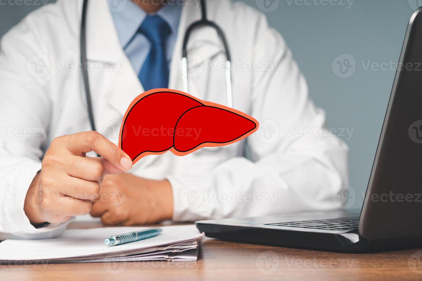 A doctor holding a liver shape symbol while sitting at the table in the hospital. photo