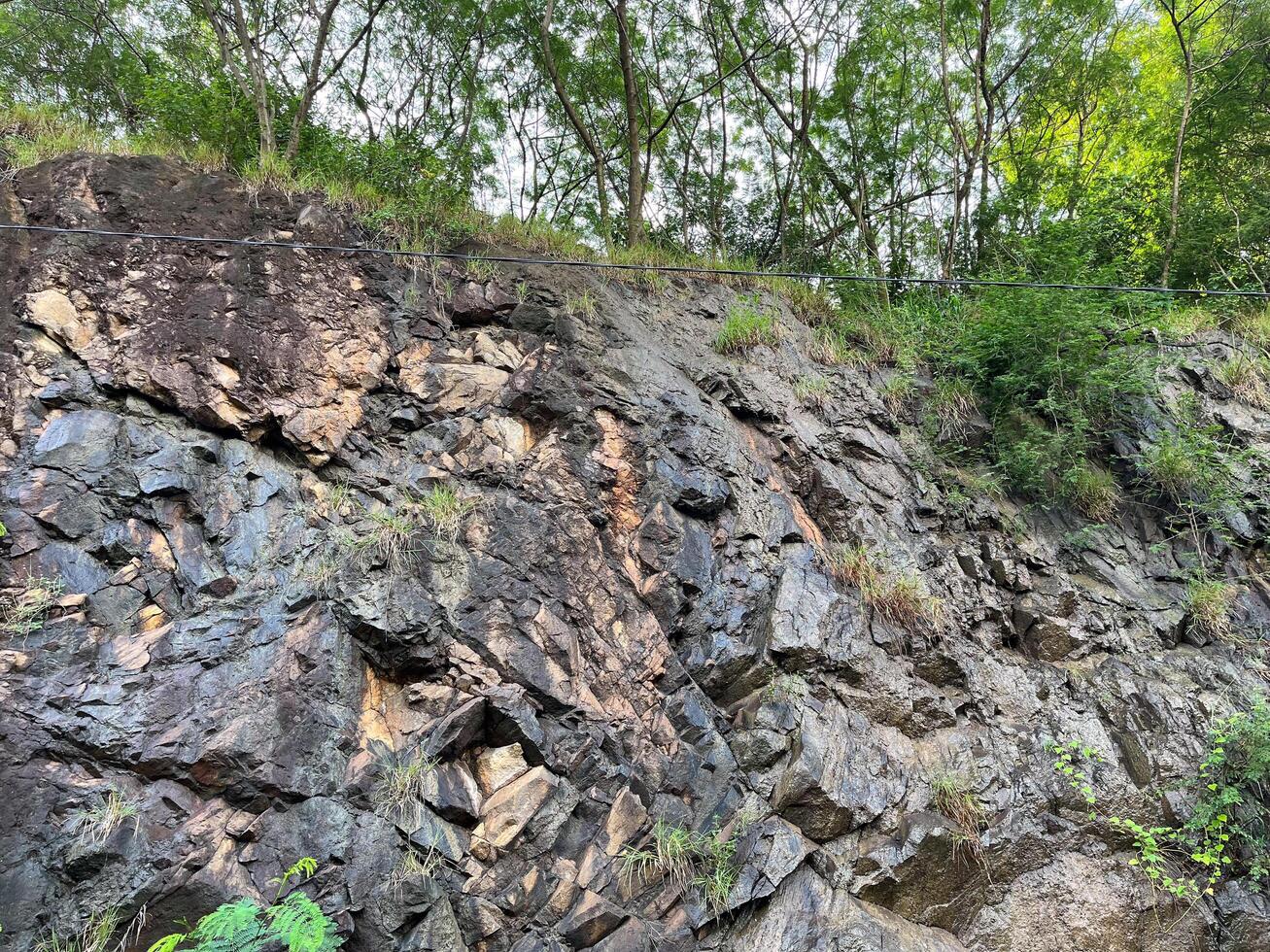 Wet stone wall with trees on it. photo