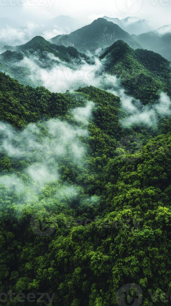 Aerial view of green forest and mountains in the mountains photo