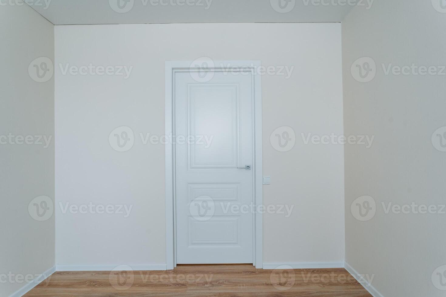 In the middle of the house, there exists an empty room which features a simple yet elegant white door alongside a charming wooden floor that enhances the overall appearance of the space photo