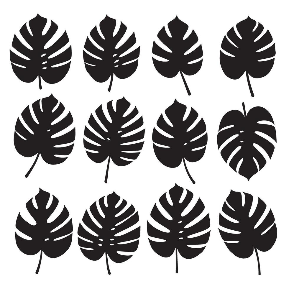Monstera leaf silhouette bundle with jungle plant design elements, nature line art icons, and organic leaf decorations vector