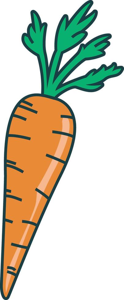 Carrot Vegetable Fresh Food vector