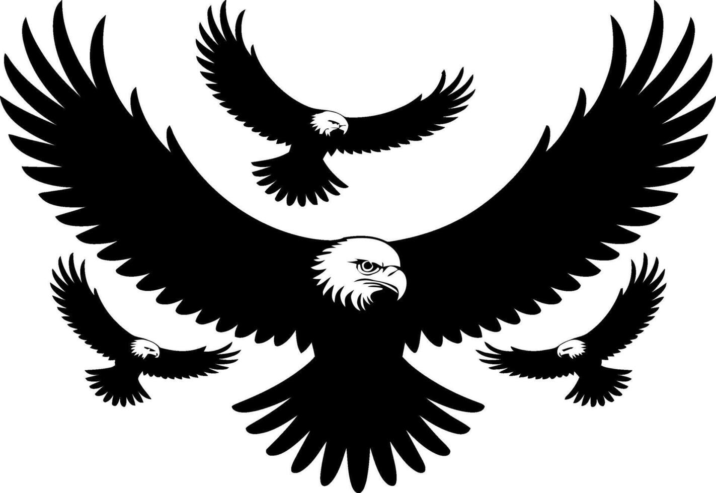 Detailed Eagle Silhouette Black and White Art vector