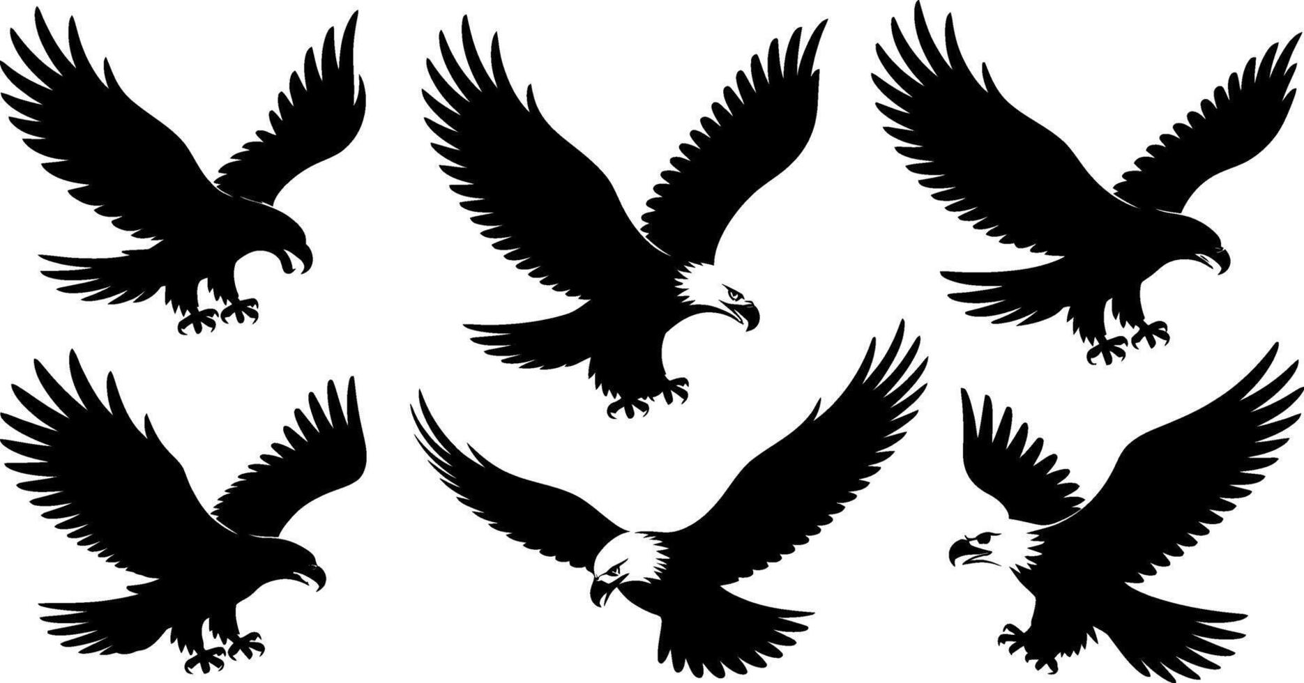 Eagle Silhouette Collection Black and White Illustrations vector