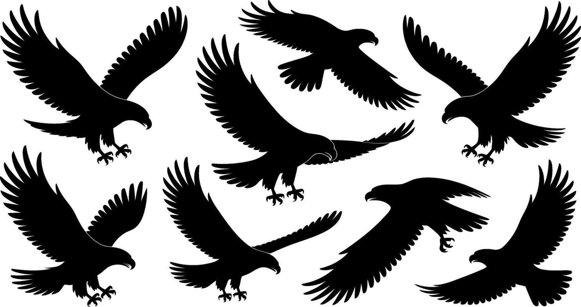 Eagle Silhouette Set Black and White Illustrations vector