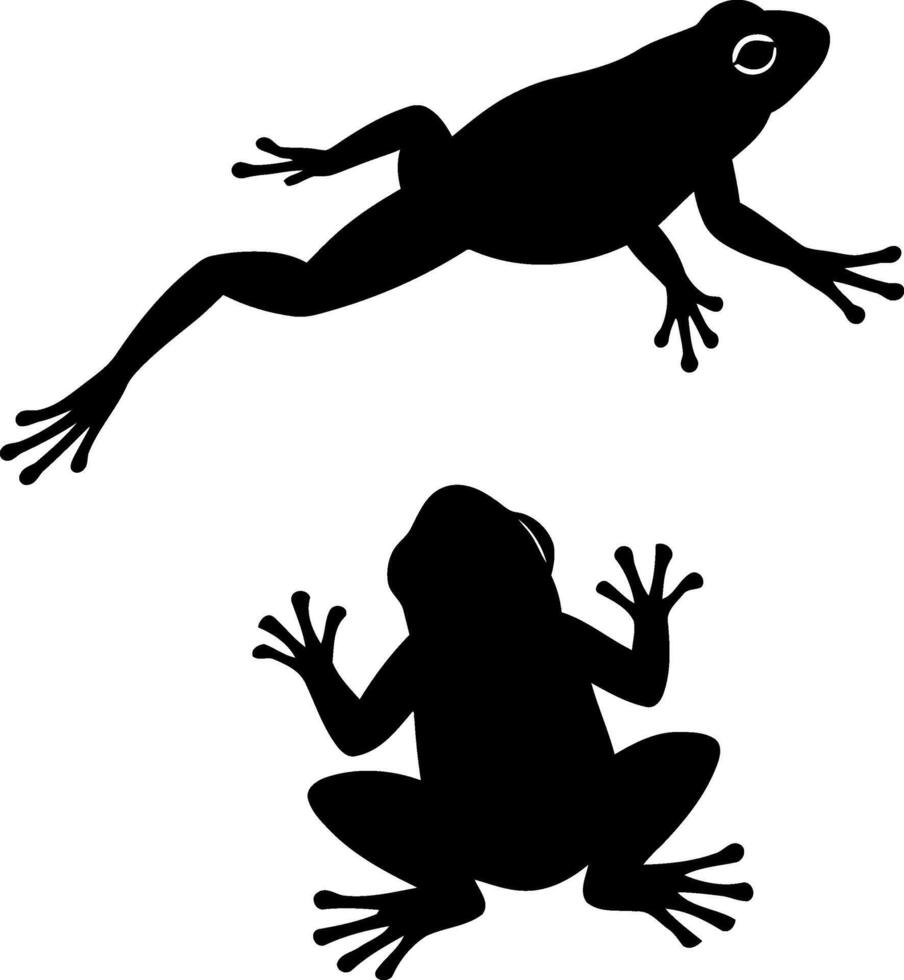 Frog Silhouette Pair Black and White Illustration vector