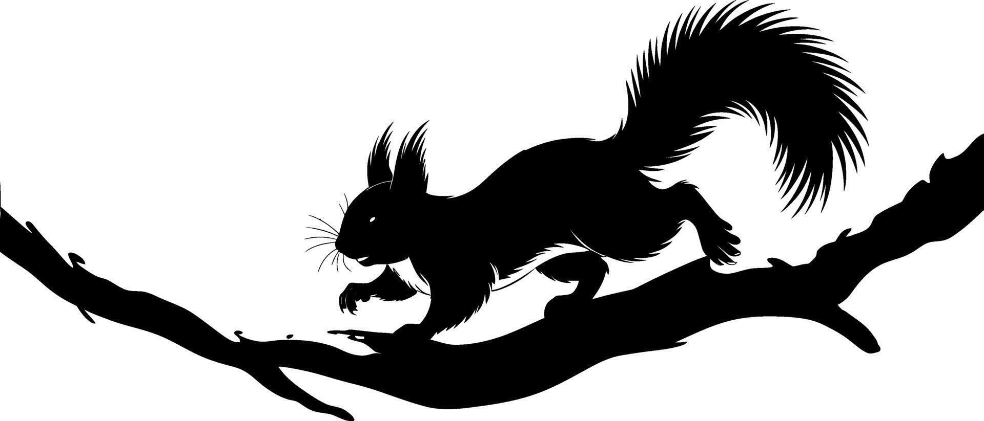 Squirrel Silhouette Black and White Illustration vector