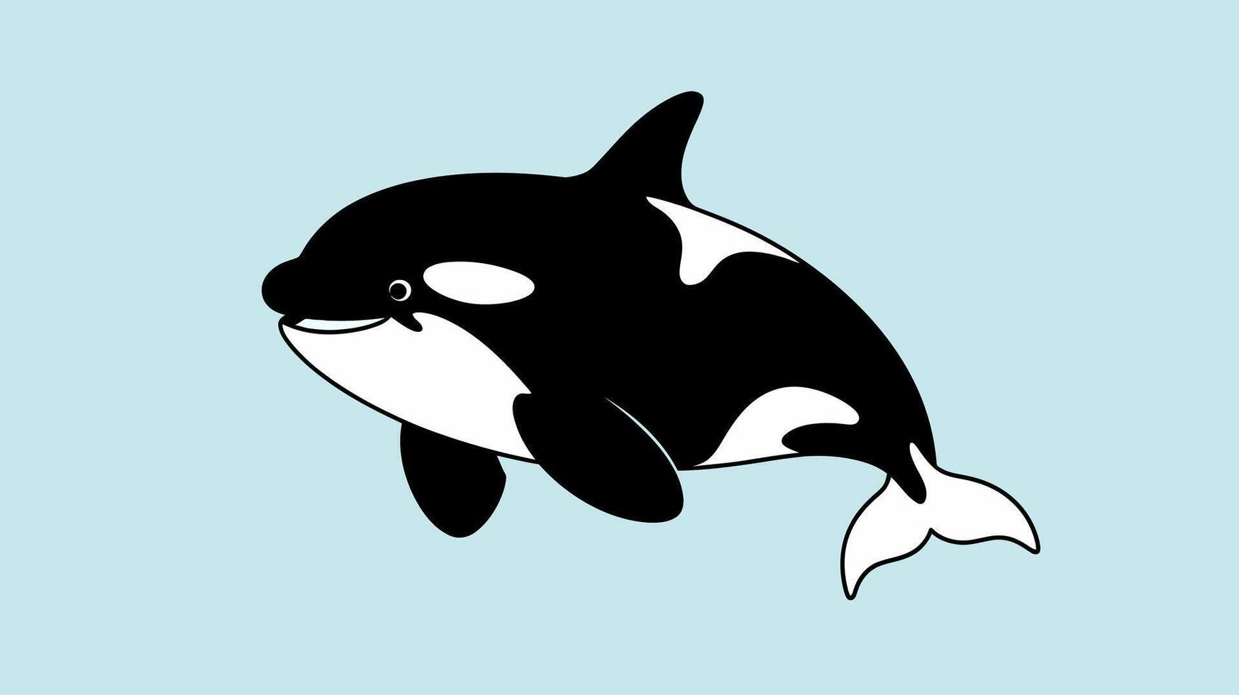 Orca Whale Illustration Black and White Ocean Animal Design vector