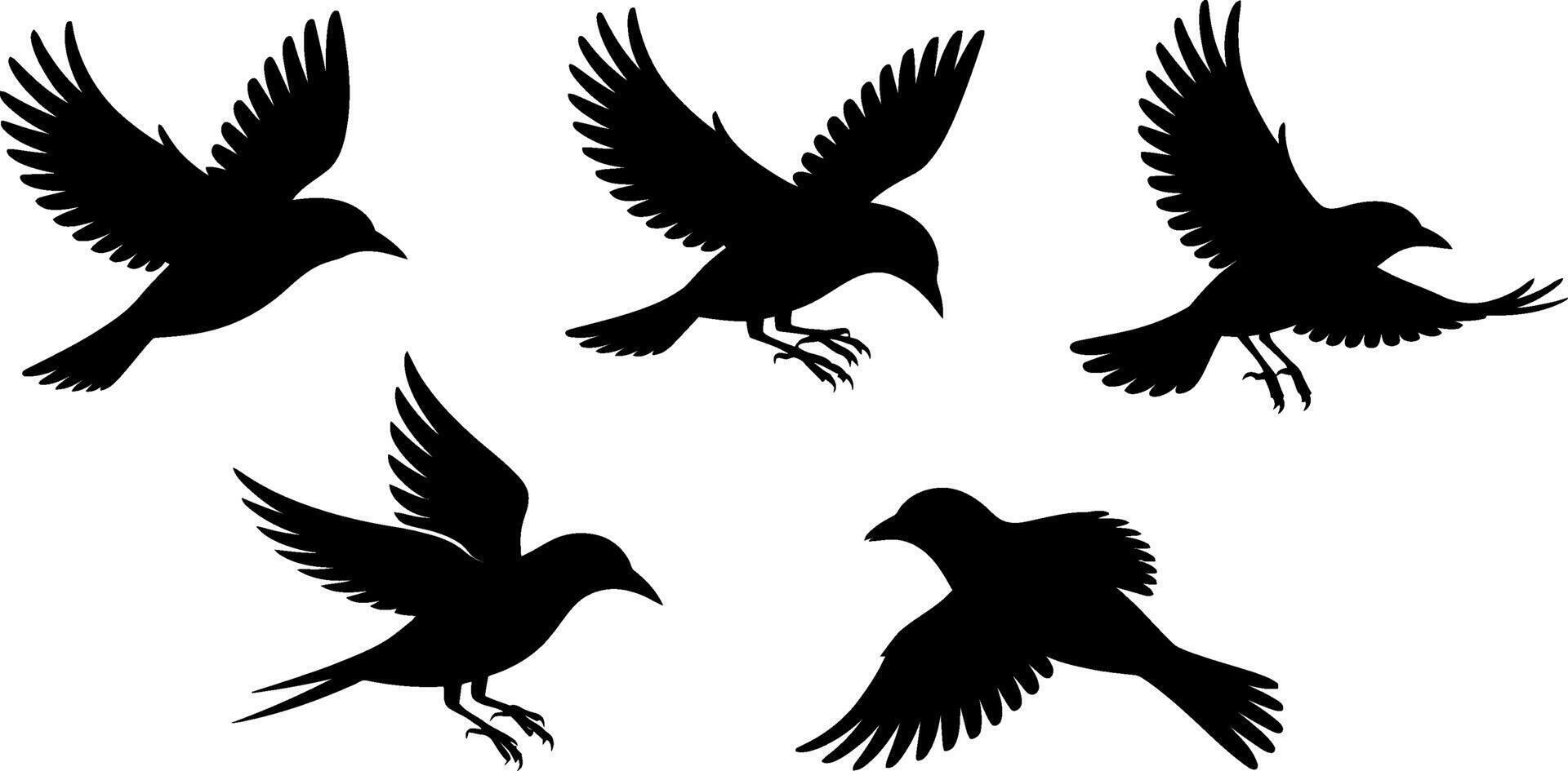 Flying Bird Silhouette Set Black and White Illustrations vector