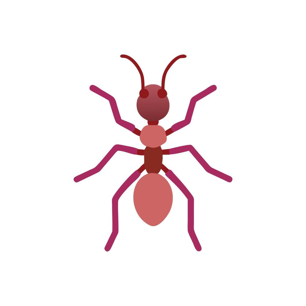 Simplified illustration of an ant on a White Background vector