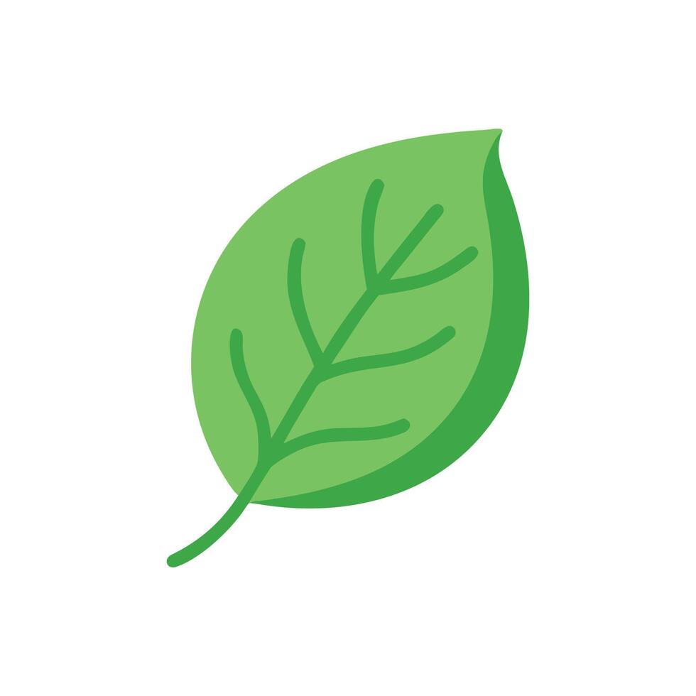 Green leaf illustration showing nature, growth and environment vector