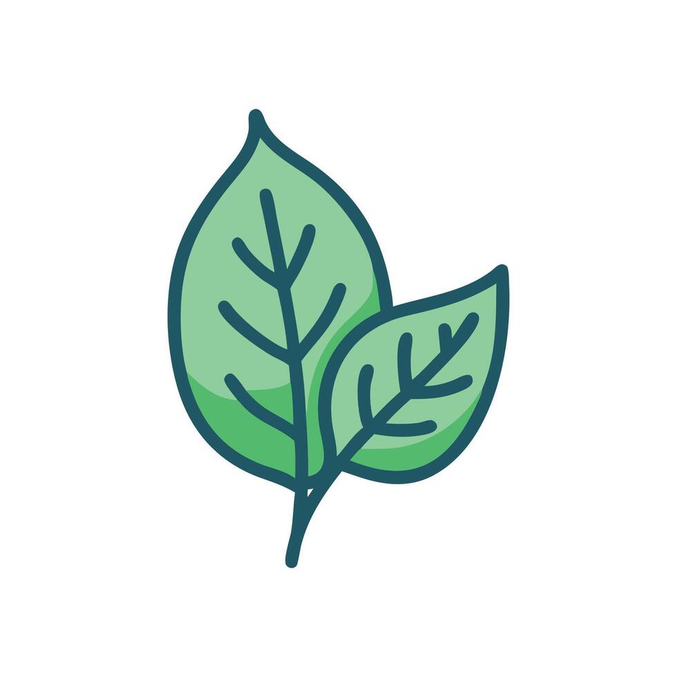 Two leaves illustration with stem and veins in cartoon style vector