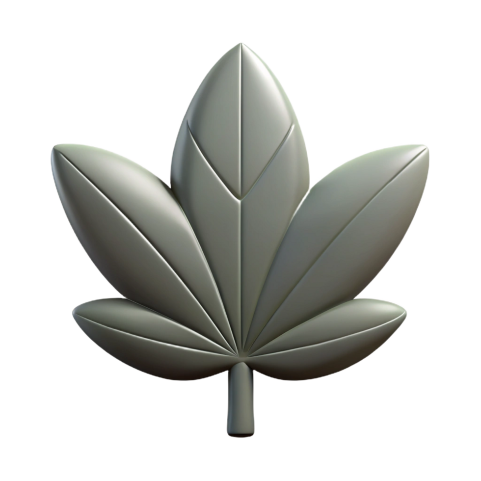 calm extraordinary Symmetrical leaf silhouette. Crisp edges, scalable, flat color with Scalable Design. high resolution png