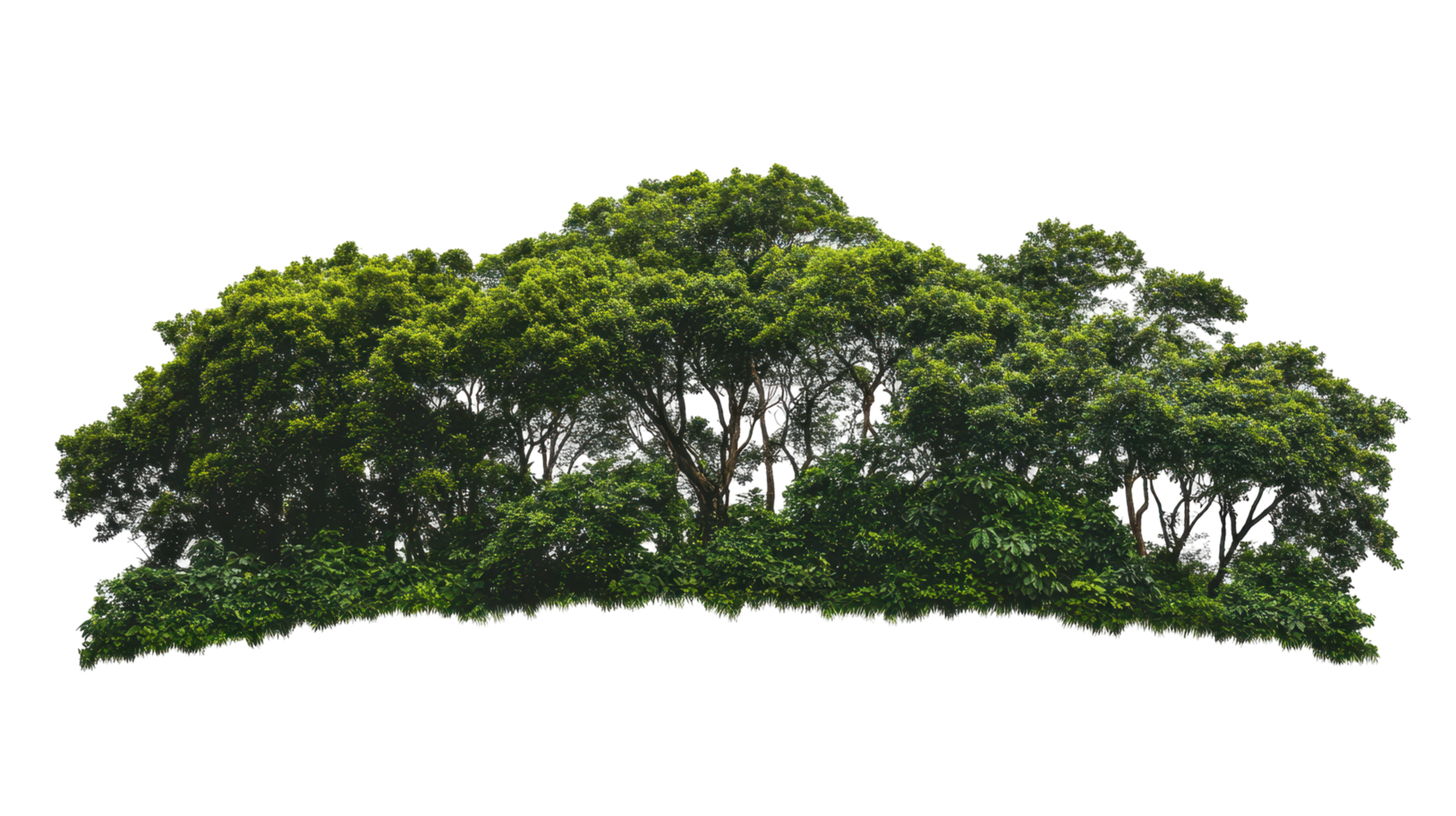 Lush forest canopy with colorful horizontal lines. png