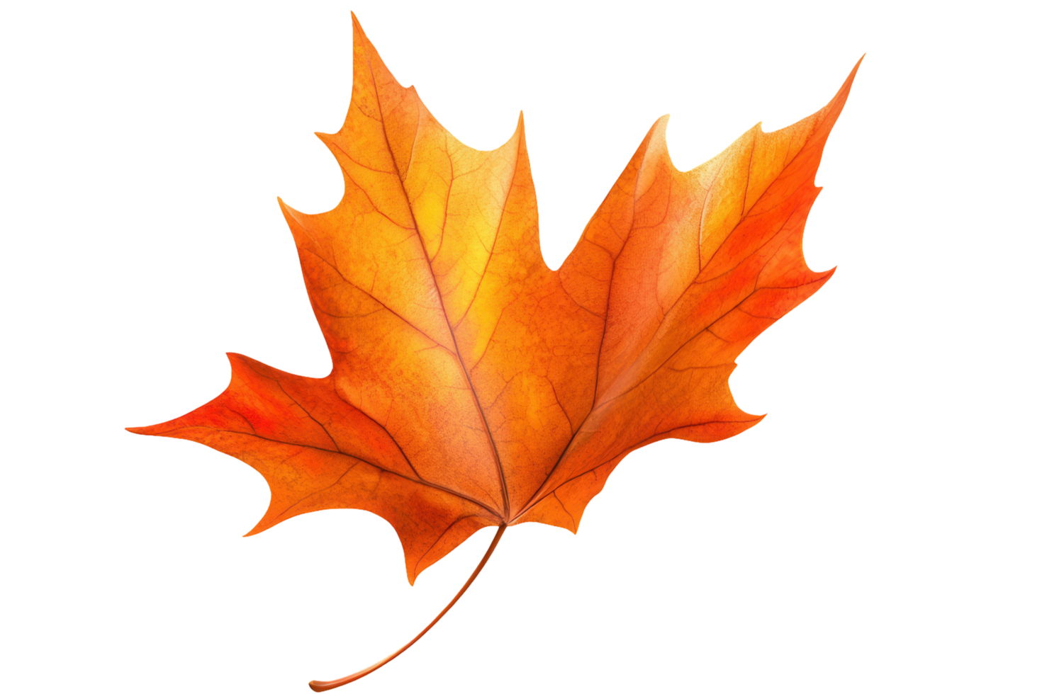 Vibrant autumnal maple leaf against a bold color backdrop. png