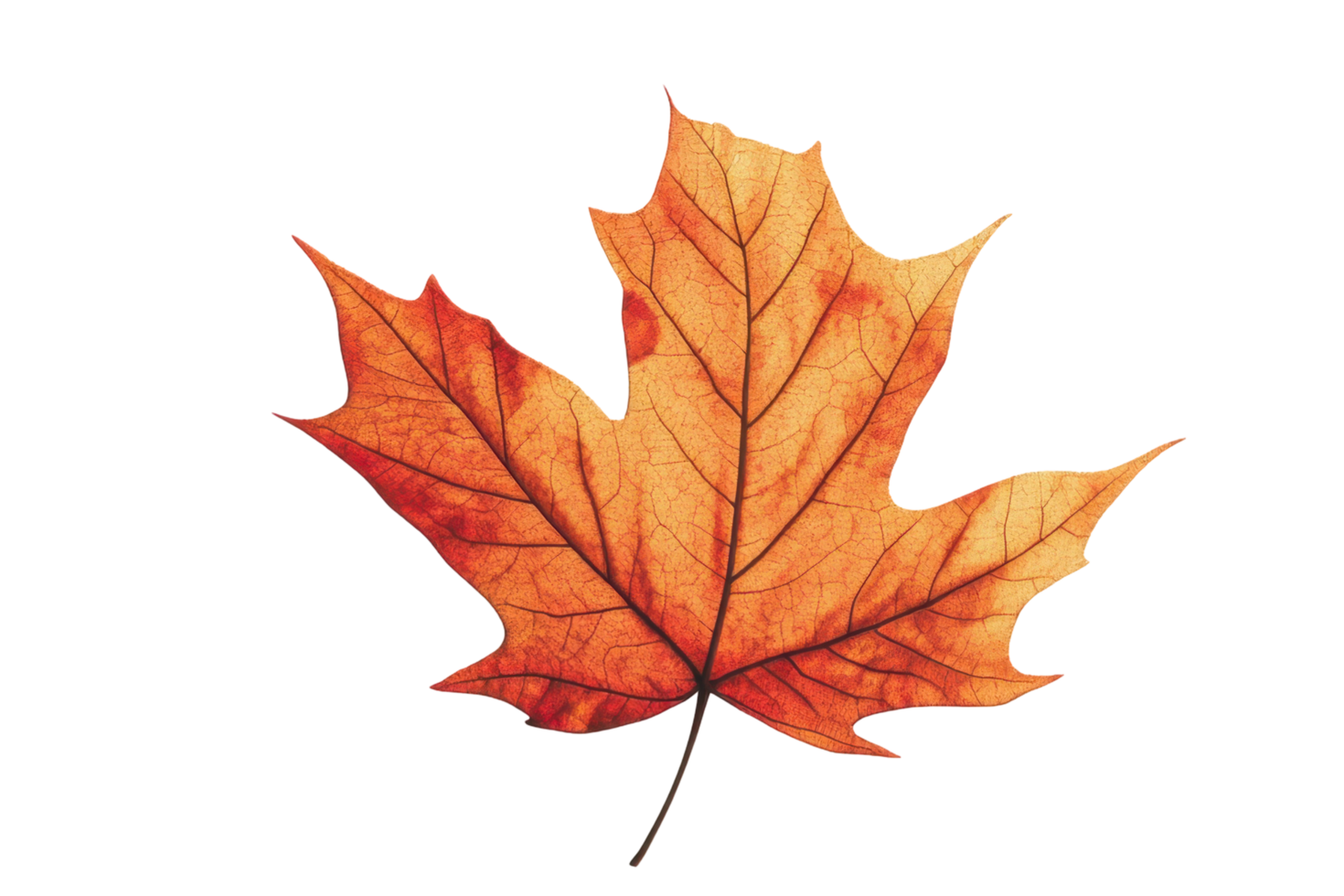 Autumnal leaf with abstract geometric background. png