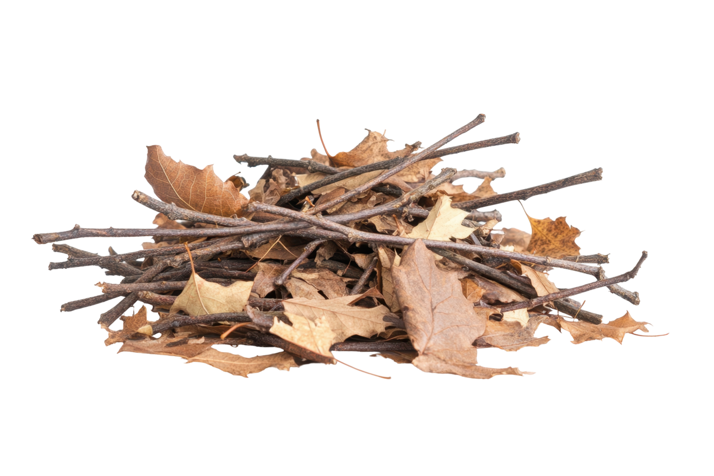 A pile of fallen autumn leaves and twigs. png