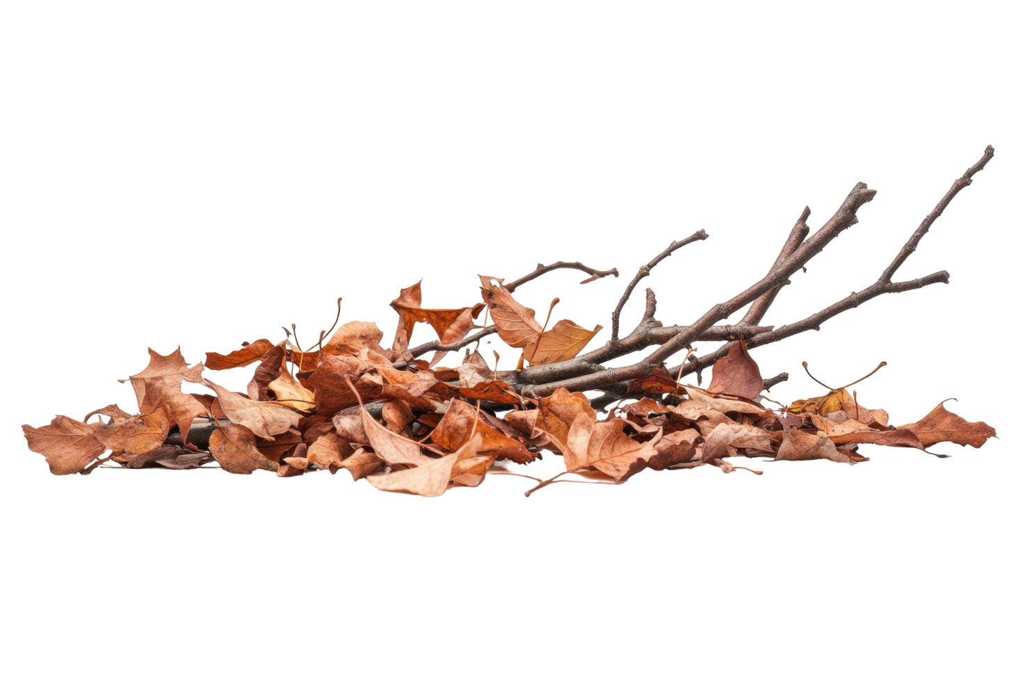 A pile of autumn leaves and branches on a dark surface. png